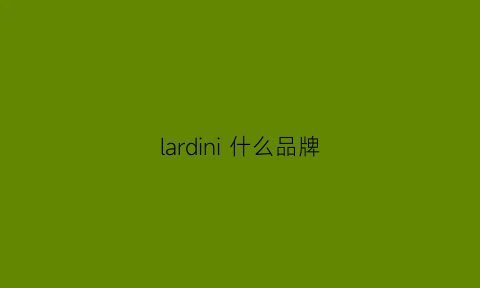 lardini什么品牌(lardini品牌介绍)